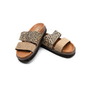 Mules  Palaui ALIWELL