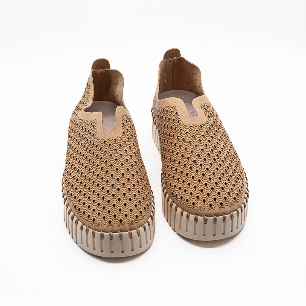 TULIP ILSE JACOBSEN TALON COMPENSE LATTE