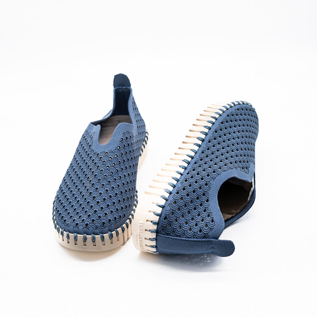 TULIP ILSE JACOBSEN LIGHT REGATTA