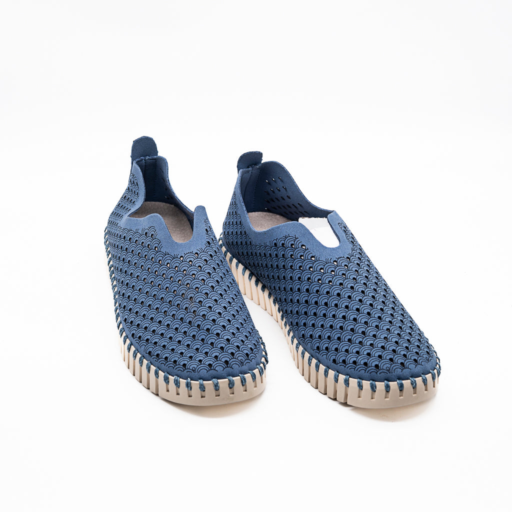 TULIP ILSE JACOBSEN LIGHT REGATTA