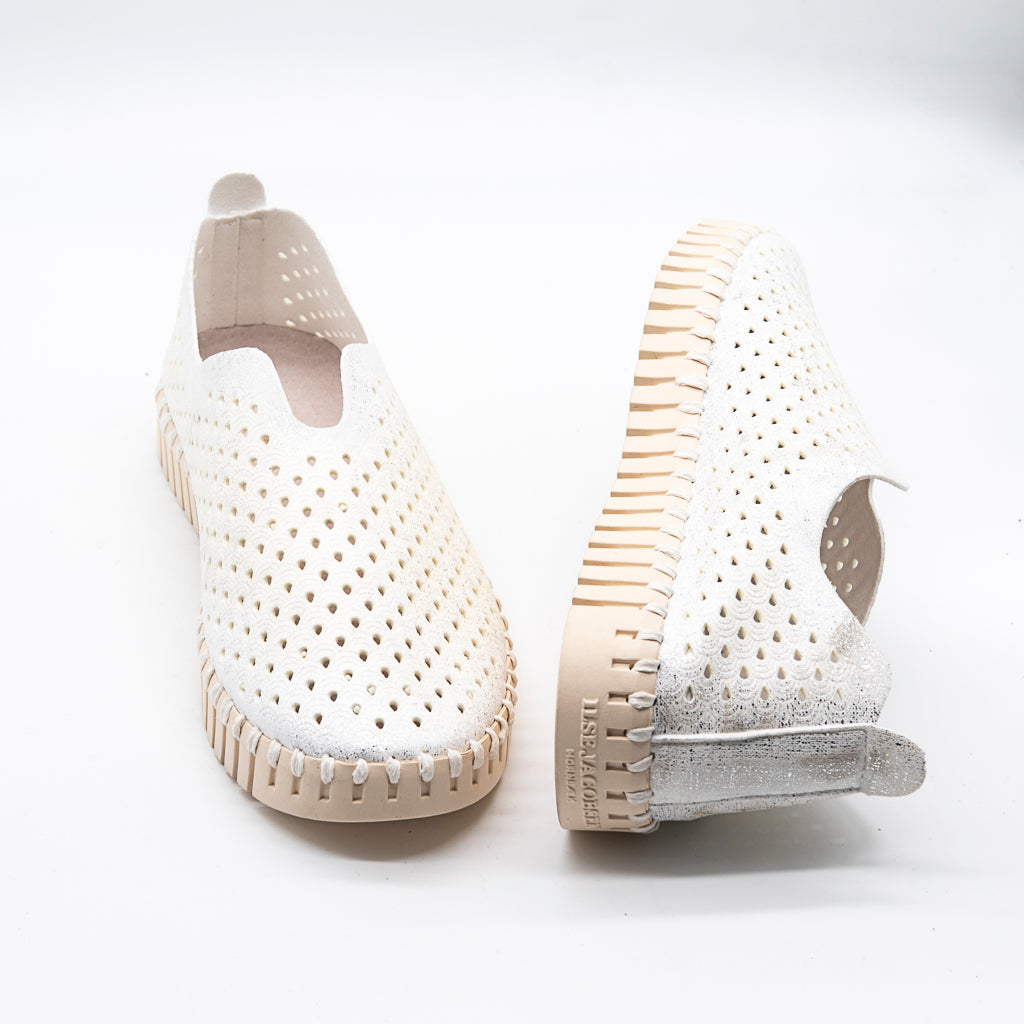 TULIP ILSE JACOBSEN  PEARLED IVORY
