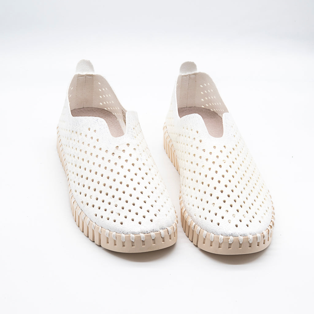 TULIP ILSE JACOBSEN  PEARLED IVORY