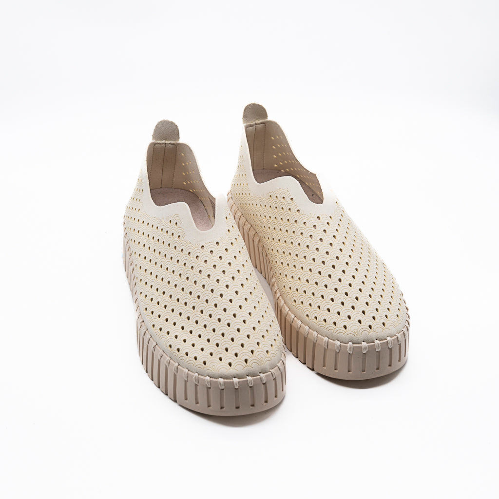 TULIP ILSE JACOBSEN TALON COMPENSE MILK