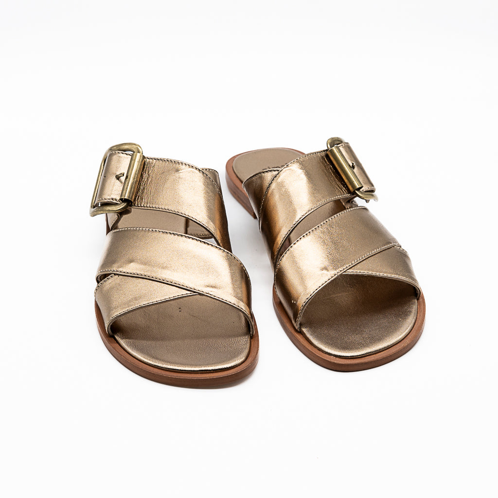 Mules  Patras Lam bruni NIMAL