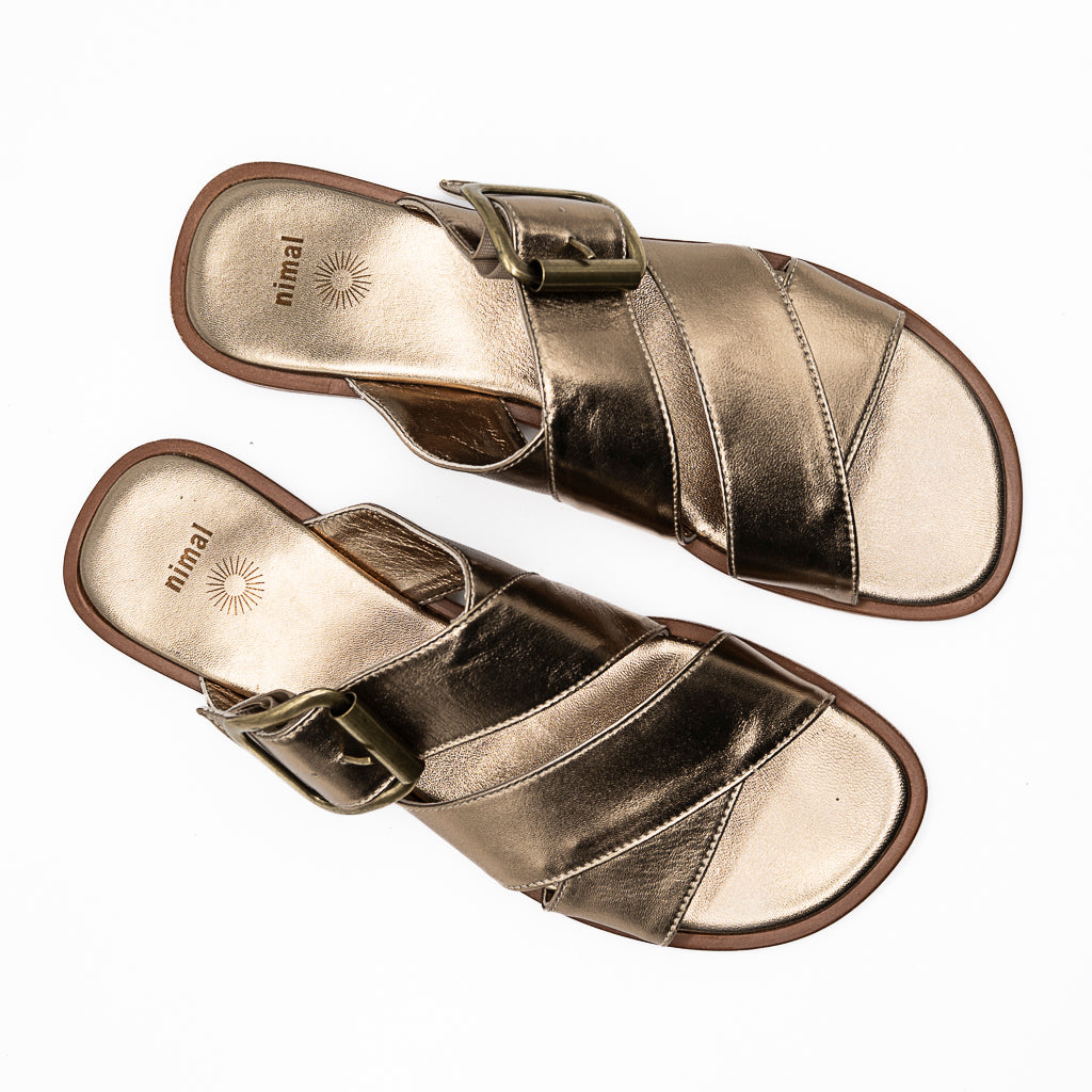 Mules  Patras Lam bruni NIMAL